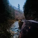Lostgarden