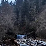 Lostgarden * Sonnberg (Oblarn, Liezen)