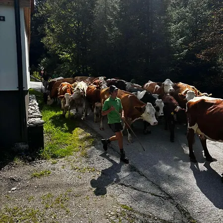 Διαμέρισμα Lostgarden *