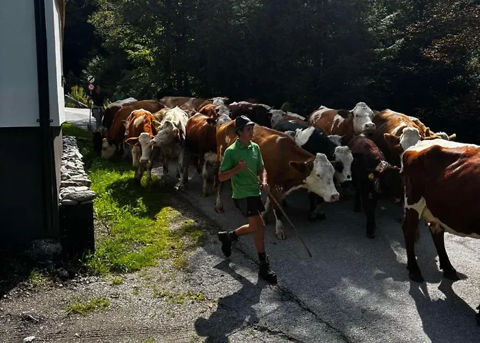 Apartment Lostgarden *