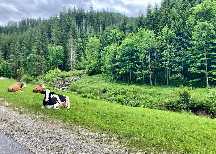 Apartment Lostgarden