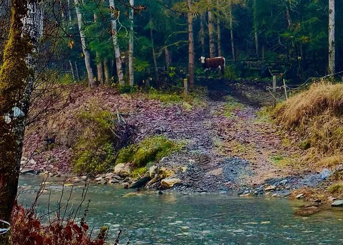 Lostgarden Apartment *