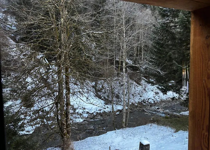 Apartment Lostgarden