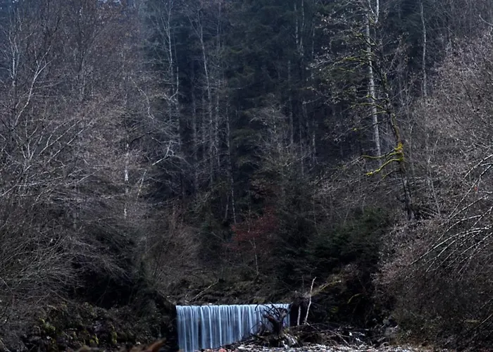 Lostgarden * Sonnberg (Oblarn, Liezen)